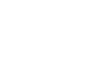 Logo_WSL